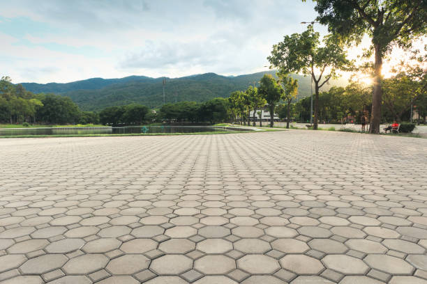 Best Driveway Pavers Near Me  in Sullivan City, TX